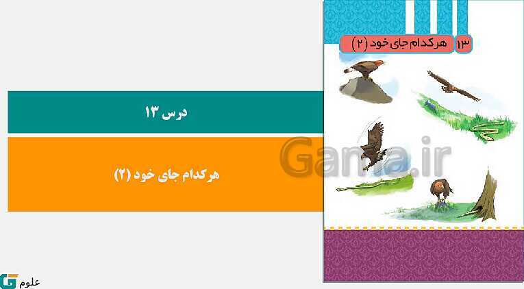 پاورپوینت متن کامل کتاب و پاسخ به فعالیت‌های علوم تجربی سوم دبستان | درس 1 تا 14- پیش نمایش