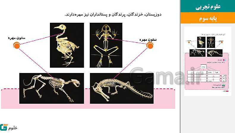 پاورپوینت متن کامل کتاب و پاسخ به فعالیت‌های علوم تجربی سوم دبستان | درس 1 تا 14- پیش نمایش