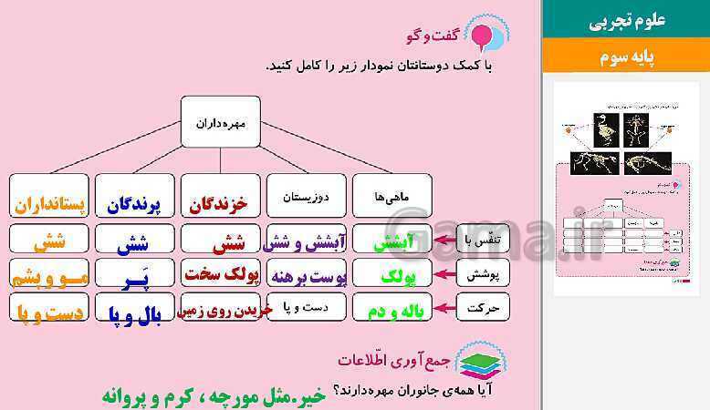 پاورپوینت متن کامل کتاب و پاسخ به فعالیت‌های علوم تجربی سوم دبستان | درس 1 تا 14- پیش نمایش