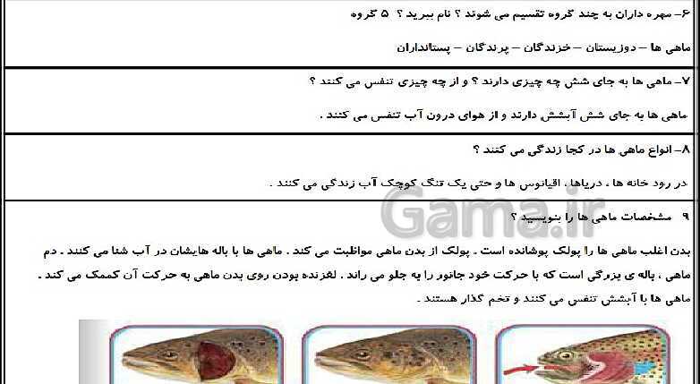 پاورپوینت متن کامل کتاب و پاسخ به فعالیت‌های علوم تجربی سوم دبستان | درس 1 تا 14- پیش نمایش