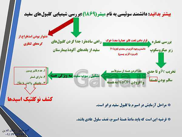 پاورپوینت زیست شناسی دوازدهم تجربی | فصل 1: مولکول‌های اطلاعاتی (گفتار 1: نوکلئیک اسیدها)- پیش نمایش