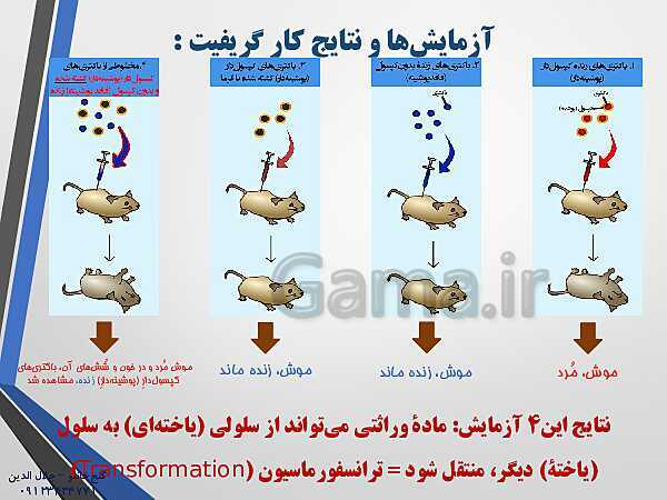 پاورپوینت زیست شناسی دوازدهم تجربی | فصل 1: مولکول‌های اطلاعاتی (گفتار 1: نوکلئیک اسیدها)- پیش نمایش