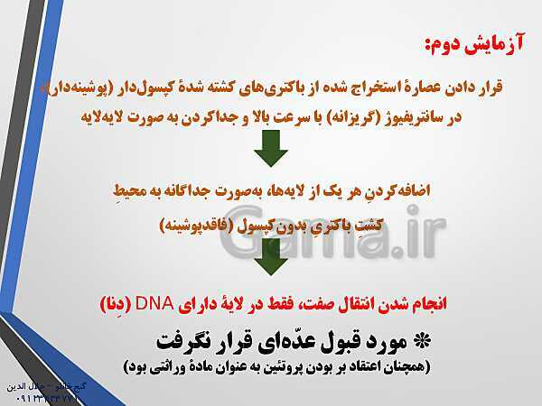 پاورپوینت زیست شناسی دوازدهم تجربی | فصل 1: مولکول‌های اطلاعاتی (گفتار 1: نوکلئیک اسیدها)- پیش نمایش