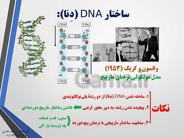 پاورپوینت زیست شناسی دوازدهم تجربی | فصل 1: مولکول‌های اطلاعاتی (گفتار 1: نوکلئیک اسیدها)- پیش نمایش