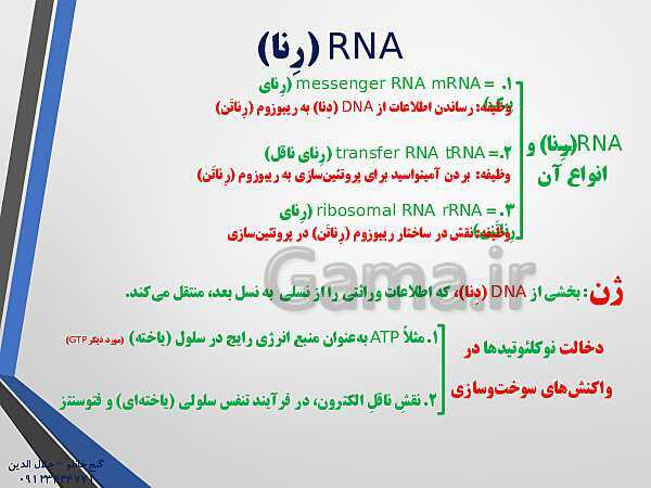 پاورپوینت زیست شناسی دوازدهم تجربی | فصل 1: مولکول‌های اطلاعاتی (گفتار 1: نوکلئیک اسیدها)- پیش نمایش