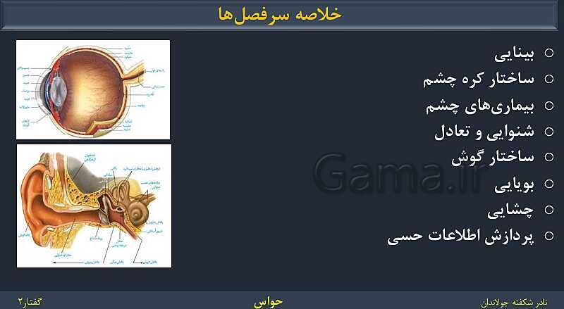 پاورپوینت زیست شناسی (2) یازدهم | فصل 2 | گفتار 2: حواس ویژه- پیش نمایش