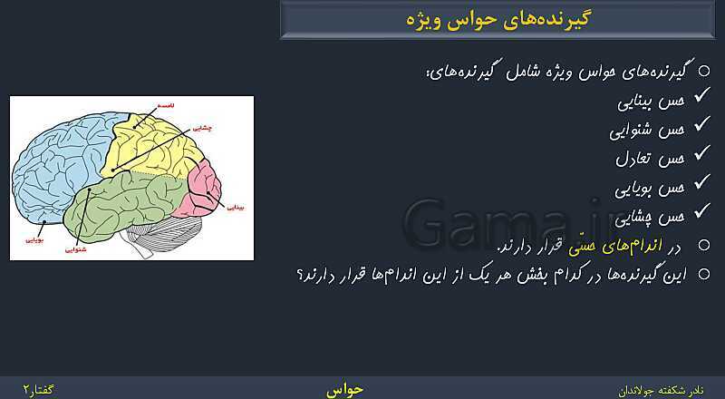 پاورپوینت زیست شناسی (2) یازدهم | فصل 2 | گفتار 2: حواس ویژه- پیش نمایش