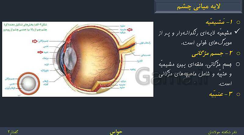 پاورپوینت زیست شناسی (2) یازدهم | فصل 2 | گفتار 2: حواس ویژه- پیش نمایش