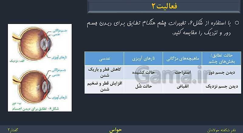 پاورپوینت زیست شناسی (2) یازدهم | فصل 2 | گفتار 2: حواس ویژه- پیش نمایش