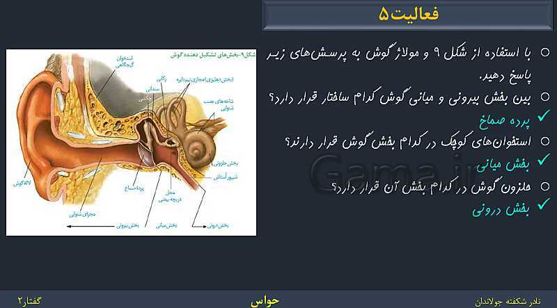 پاورپوینت زیست شناسی (2) یازدهم | فصل 2 | گفتار 2: حواس ویژه- پیش نمایش