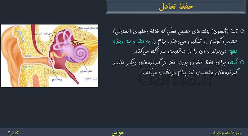 پاورپوینت زیست شناسی (2) یازدهم | فصل 2 | گفتار 2: حواس ویژه- پیش نمایش