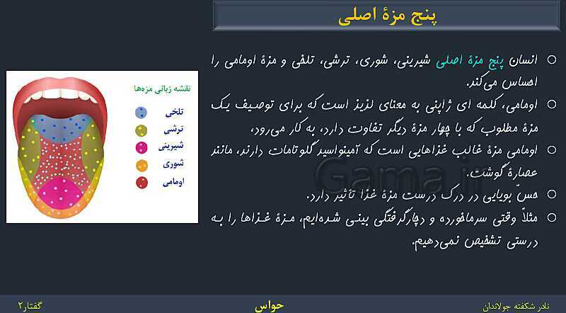 پاورپوینت زیست شناسی (2) یازدهم | فصل 2 | گفتار 2: حواس ویژه- پیش نمایش