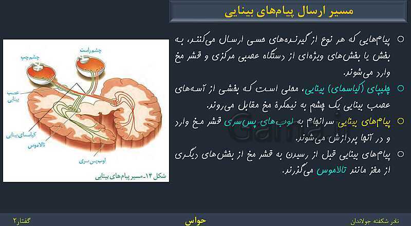 پاورپوینت زیست شناسی (2) یازدهم | فصل 2 | گفتار 2: حواس ویژه- پیش نمایش