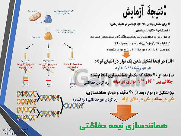 پاورپوینت زیست شناسی دوازدهم تجربی | فصل 1: مولکول های اطلاعاتی (گفتار 2: همانند سازی دِنا DNA)- پیش نمایش