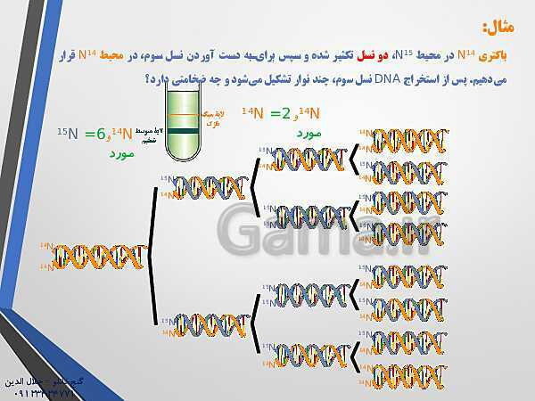 پاورپوینت زیست شناسی دوازدهم تجربی | فصل 1: مولکول های اطلاعاتی (گفتار 2: همانند سازی دِنا DNA)- پیش نمایش