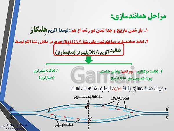 پاورپوینت زیست شناسی دوازدهم تجربی | فصل 1: مولکول های اطلاعاتی (گفتار 2: همانند سازی دِنا DNA)- پیش نمایش