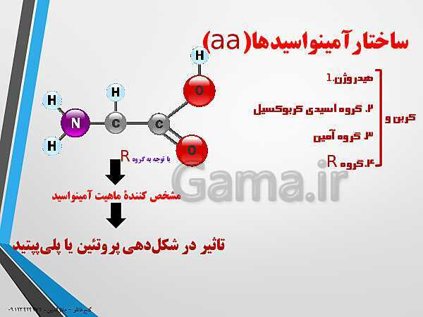 پاورپوینت زیست شناسی دوازدهم تجربی | فصل 1: مولکول های اطلاعاتی (گفتار 3: پروتئین‌ها)- پیش نمایش