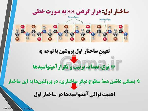 پاورپوینت زیست شناسی دوازدهم تجربی | فصل 1: مولکول های اطلاعاتی (گفتار 3: پروتئین‌ها)- پیش نمایش