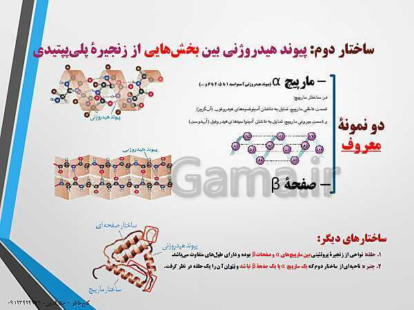 پاورپوینت زیست شناسی دوازدهم تجربی | فصل 1: مولکول های اطلاعاتی (گفتار 3: پروتئین‌ها)- پیش نمایش