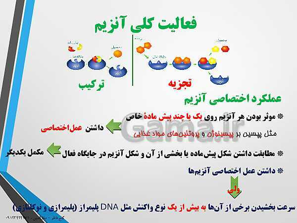 پاورپوینت زیست شناسی دوازدهم تجربی | فصل 1: مولکول های اطلاعاتی (گفتار 3: پروتئین‌ها)- پیش نمایش