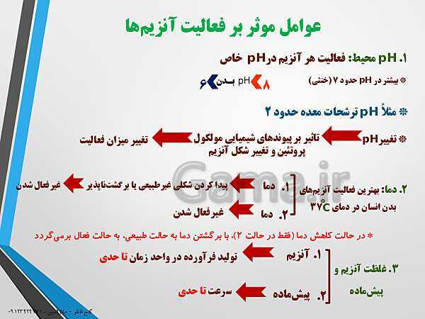 پاورپوینت زیست شناسی دوازدهم تجربی | فصل 1: مولکول های اطلاعاتی (گفتار 3: پروتئین‌ها)- پیش نمایش