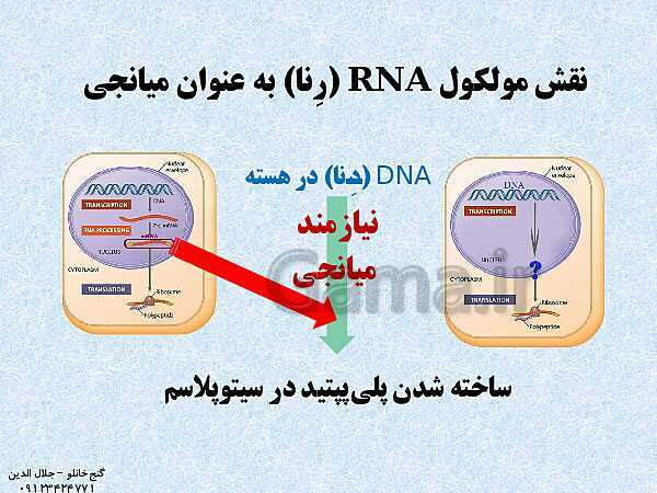 پاورپوینت زیست شناسی دوازدهم تجربی | فصل 2: جریان اطلاعات در یاخته (گفتار 1: رونویسی)- پیش نمایش