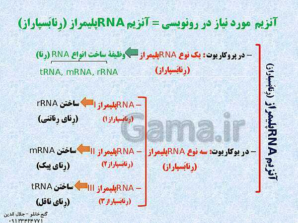 پاورپوینت زیست شناسی دوازدهم تجربی | فصل 2: جریان اطلاعات در یاخته (گفتار 1: رونویسی)- پیش نمایش