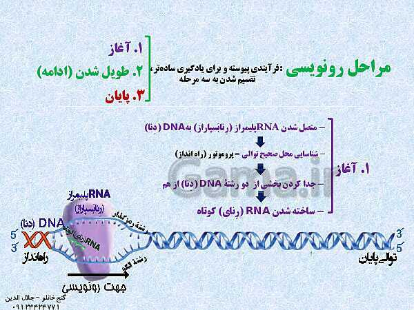 پاورپوینت زیست شناسی دوازدهم تجربی | فصل 2: جریان اطلاعات در یاخته (گفتار 1: رونویسی)- پیش نمایش