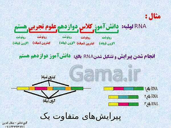 پاورپوینت زیست شناسی دوازدهم تجربی | فصل 2: جریان اطلاعات در یاخته (گفتار 1: رونویسی)- پیش نمایش