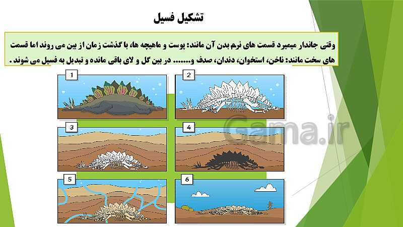 پاورپوینت آموزش جامع علوم تجربی پنجم دبستان | درس 4: برگی از تاریخ زمین- پیش نمایش