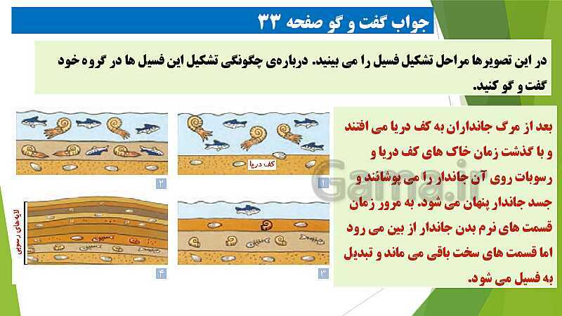 پاورپوینت آموزش جامع علوم تجربی پنجم دبستان | درس 4: برگی از تاریخ زمین- پیش نمایش