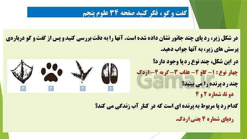 پاورپوینت آموزش جامع علوم تجربی پنجم دبستان | درس 4: برگی از تاریخ زمین- پیش نمایش