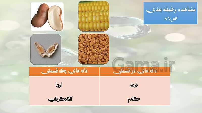 پاورپوینت آموزش خلاصه علوم تجربی سوم دبستان | درس 11: بکارید و ببینید- پیش نمایش