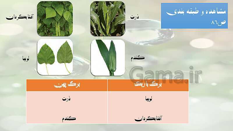 پاورپوینت آموزش خلاصه علوم تجربی سوم دبستان | درس 11: بکارید و ببینید- پیش نمایش