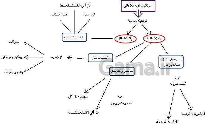 پاورپوینت فصل اول زیست شناسی (3) دوازدهم | گفتار 1: نوکلئیک اسیدها- پیش نمایش