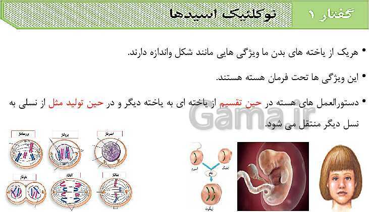 پاورپوینت فصل اول زیست شناسی (3) دوازدهم | گفتار 1: نوکلئیک اسیدها- پیش نمایش