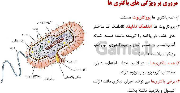 پاورپوینت فصل اول زیست شناسی (3) دوازدهم | گفتار 1: نوکلئیک اسیدها- پیش نمایش