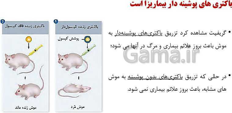 پاورپوینت فصل اول زیست شناسی (3) دوازدهم | گفتار 1: نوکلئیک اسیدها- پیش نمایش