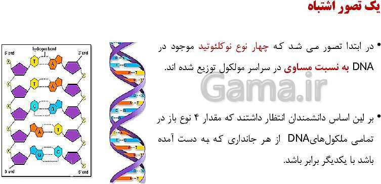 پاورپوینت فصل اول زیست شناسی (3) دوازدهم | گفتار 1: نوکلئیک اسیدها- پیش نمایش
