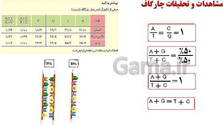 پاورپوینت فصل اول زیست شناسی (3) دوازدهم | گفتار 1: نوکلئیک اسیدها- پیش نمایش