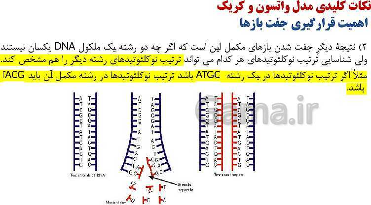 پاورپوینت فصل اول زیست شناسی (3) دوازدهم | گفتار 1: نوکلئیک اسیدها- پیش نمایش