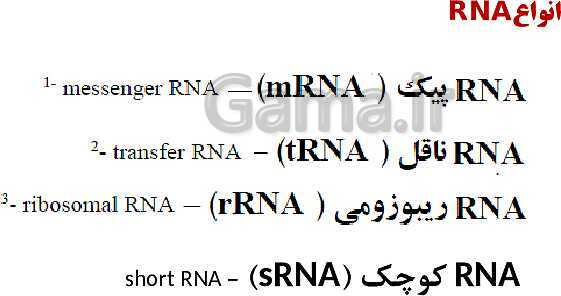 پاورپوینت فصل اول زیست شناسی (3) دوازدهم | گفتار 1: نوکلئیک اسیدها- پیش نمایش