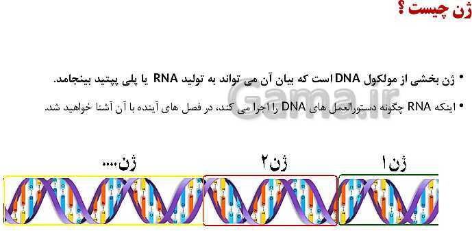 پاورپوینت فصل اول زیست شناسی (3) دوازدهم | گفتار 1: نوکلئیک اسیدها- پیش نمایش