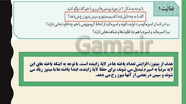 پاورپوینت فصل هفتم زیست شناسی (2) یازدهم تجربی | گفتار 1: دستگاه تولید مثل در مرد- پیش نمایش