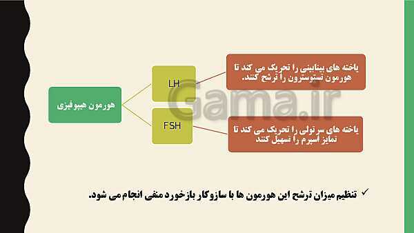 پاورپوینت فصل هفتم زیست شناسی (2) یازدهم تجربی | گفتار 1: دستگاه تولید مثل در مرد- پیش نمایش