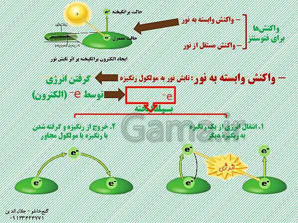 پاورپوینت زیست شناسی دوازدهم تجربی | فصل 6: از انرژی به ماده (گفتار 2: واکنش های فتوسنتزی)- پیش نمایش