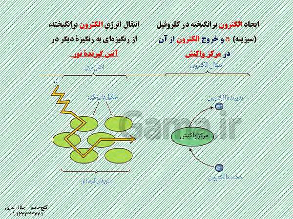 پاورپوینت زیست شناسی دوازدهم تجربی | فصل 6: از انرژی به ماده (گفتار 2: واکنش های فتوسنتزی)- پیش نمایش