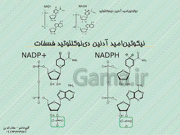 پاورپوینت زیست شناسی دوازدهم تجربی | فصل 6: از انرژی به ماده (گفتار 2: واکنش های فتوسنتزی)- پیش نمایش