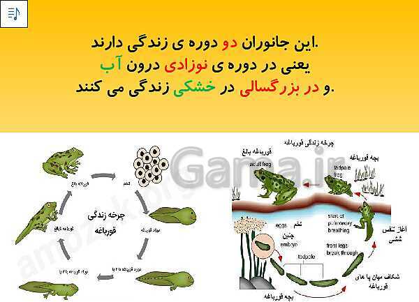 پاورپوینت تدریس کتاب علوم سوم دبستان | درس 12 و 13: هر کدام جای خود (1) و (2)- پیش نمایش