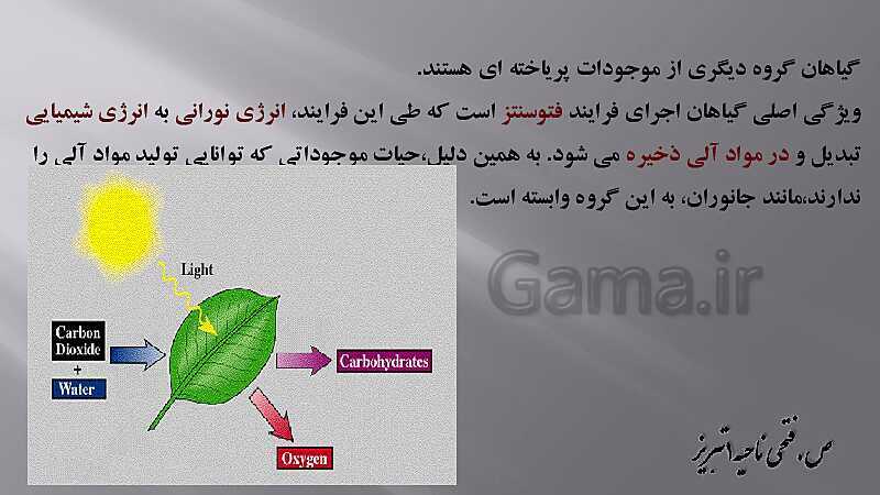 پاورپوینت زیست شناسی دهم هنرستان | پودمان 4: گیاهان- پیش نمایش